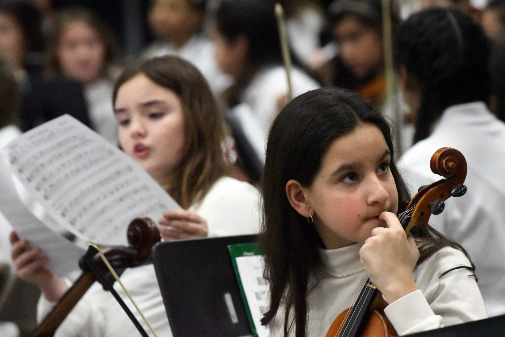 ORCHESTRA FEST